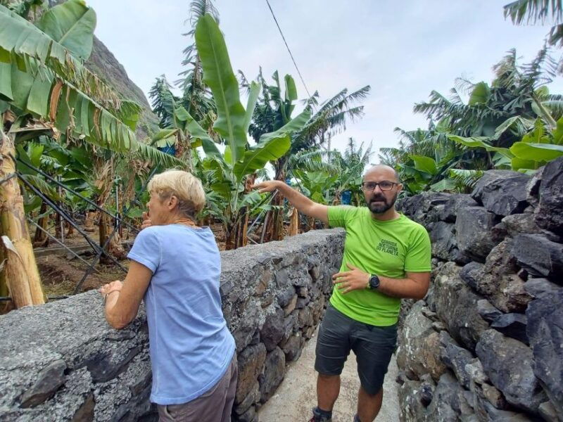 private-gastro-hike-with-levada-walk-and-local-food