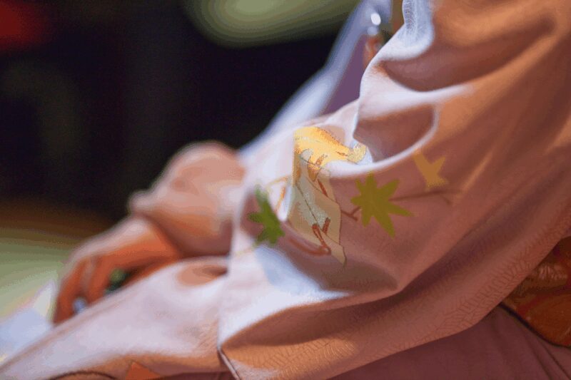 Private geisha show with Maiko, an geisha apprentice - FAQ