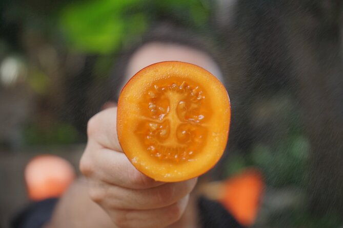 private-getsemani-family-fruit-experience-in-cartagena