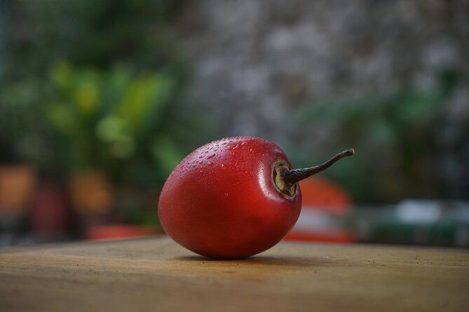 private-getsemani-family-fruit-experience-in-cartagena