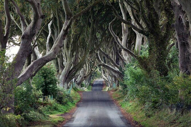 Private Giant's Causeway Tour including Game of Thrones Sites - The Sum Up