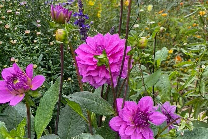 private-giverny-roundtrip-and-entrance-ticket-from-paris