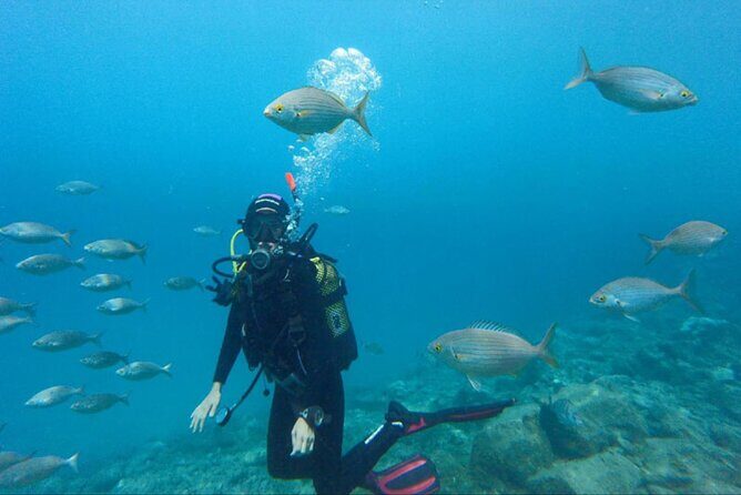 Private Glass family Boat Snorkeling 4 hours - What to Expect During the Trip