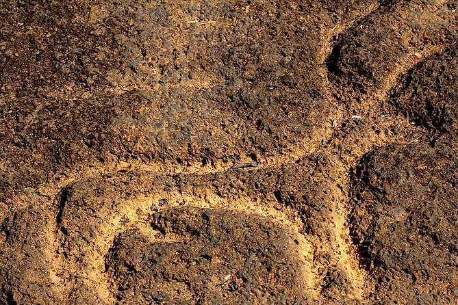 Private Goa tour of ancient rock art, laterite cave and bubble lake with lunch - Exploring Goa Beyond the Beaches: An Authentic Archaeological Adventure