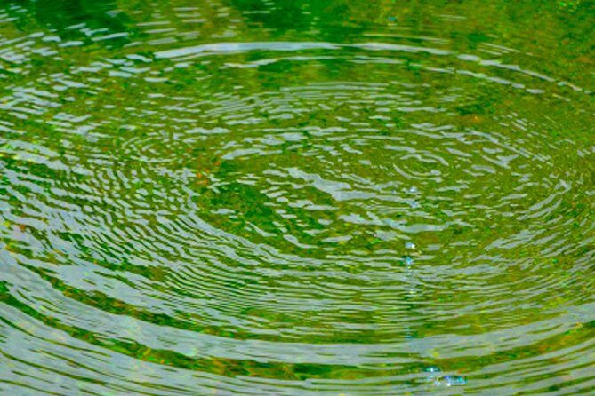 Private Goa tour of ancient rock art, laterite cave and bubble lake with lunch - Key Points