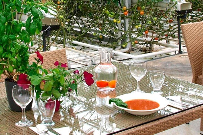 private-golden-circle-sky-lagoon-and-fridheimar-greenhouse-lunch