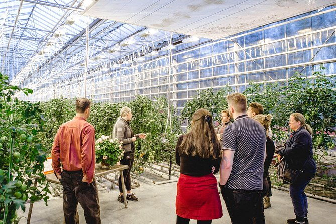 private-golden-circle-sky-lagoon-and-fridheimar-greenhouse-lunch