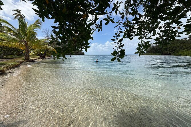 private-gorgeaus-caribbean-retreat-river-horseback-riding