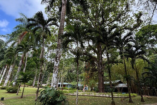 private-gorgeaus-caribbean-retreat-river-horseback-riding