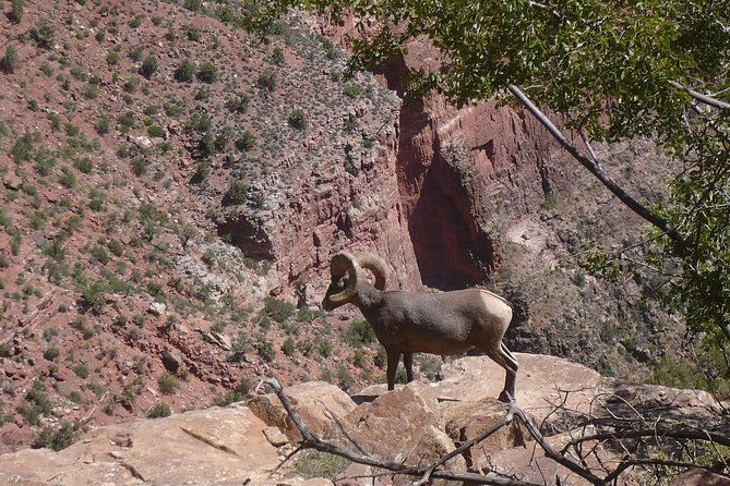 private-grand-canyon-day-tour-from-phoenix-scottsdale