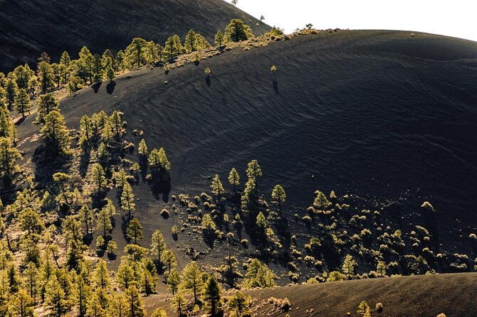 private-grand-canyon-ultimate-day-tour