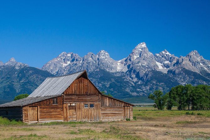 private-grand-teton-wildlife-safari-tour