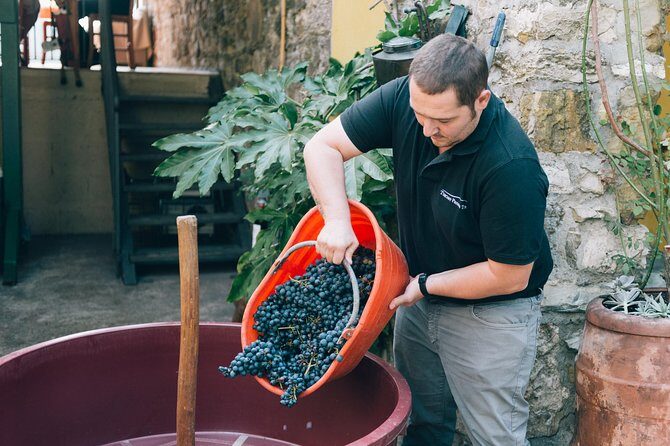Private Grape stomping at Chianti Farmhouse - An In-Depth Look at the Grape Stomping Experience
