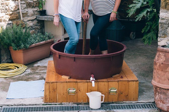Private Grape stomping at Chianti Farmhouse - Frequently Asked Questions