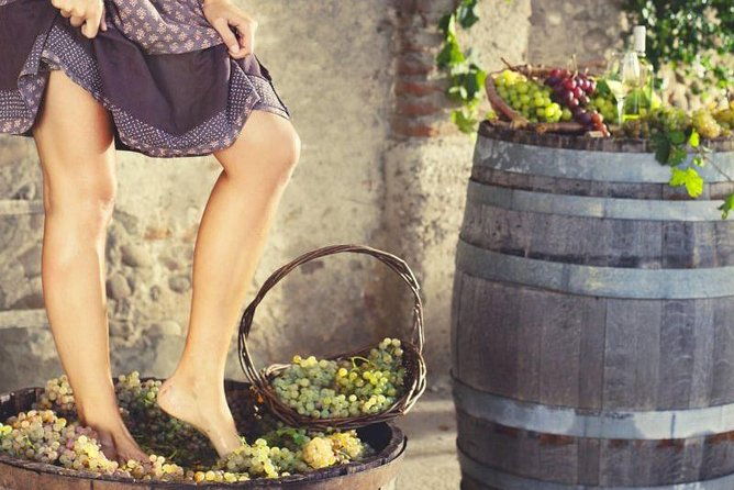 private-grape-stomping-in-chianti-from-florence