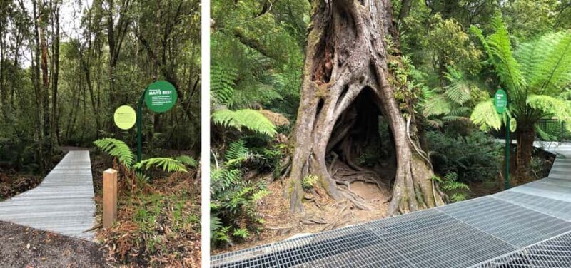 Private Great Ocean Road & 12 Apostles Experience - An In-Depth Look at the Tour Experience