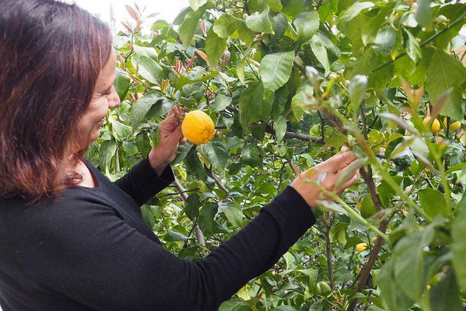 private-greek-cooking-class-in-athens-learn-to-cook-with-angelina