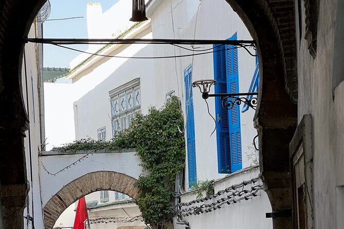 Private Group Day Tour Tunis Medina Carthage Sidi Bou Said - Practical Tips and Considerations