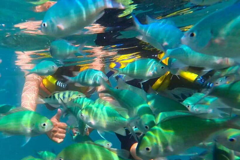 private-group-snorkeling-3-gili-islands-from-gili-trawangan