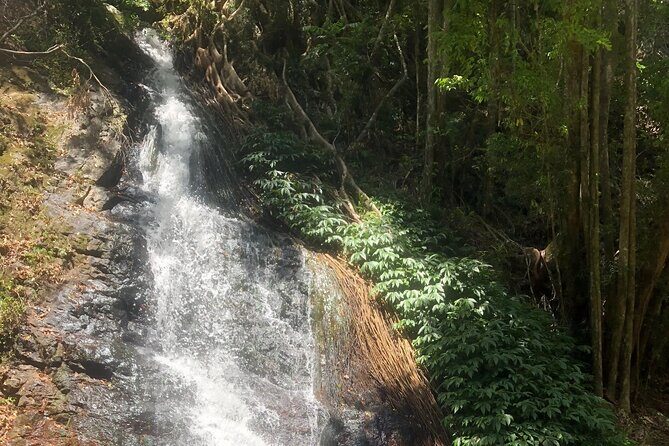 Private Group Tour Brisbane & Gold Coast Personal Tours - Practical Details