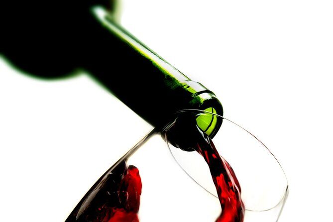 Private Group Tour Brisbane & Gold Coast Personal Tours - Who Is This Tour Best For?