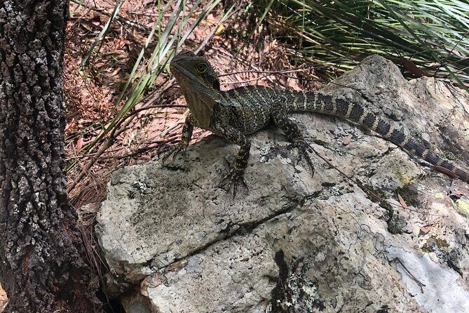 Private Group Tour Brisbane & Gold Coast Personal Tours - FAQ