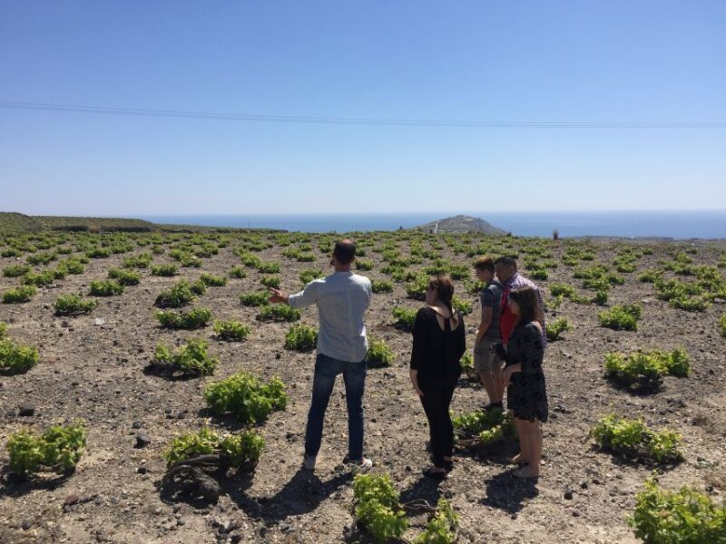 Private Group Visit to Akrotiri & 3 Wineries with Tastings - The Cost and Value