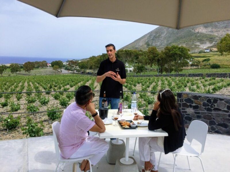 Private Group Visit to Akrotiri & 3 Wineries with Tastings - Who Would Love This Tour?