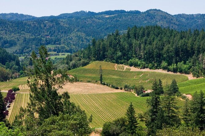 private-group-wine-tours-in-napa-valley
