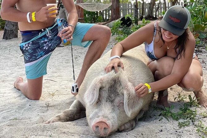 private-grouptour-pigs-turtles-snorkeling-lunch-pickup-dropoff