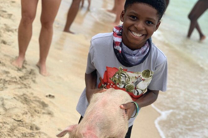 private-grouptour-pigs-turtles-snorkeling-lunch-pickup-dropoff