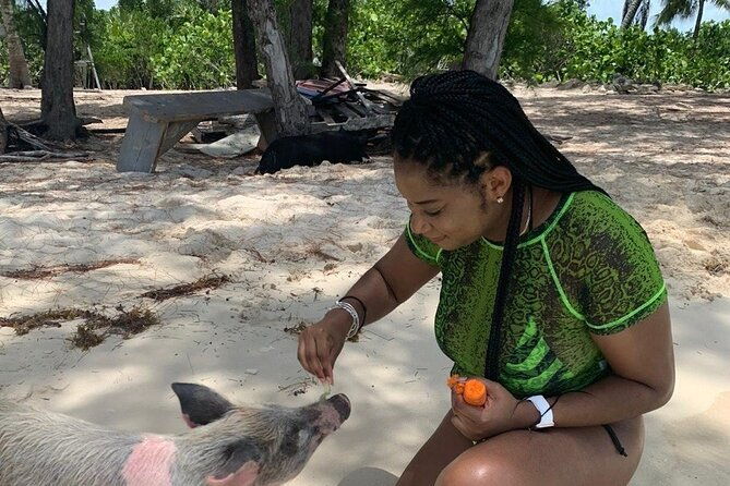 private-grouptour-pigs-turtles-snorkeling-lunch-pickup-dropoff