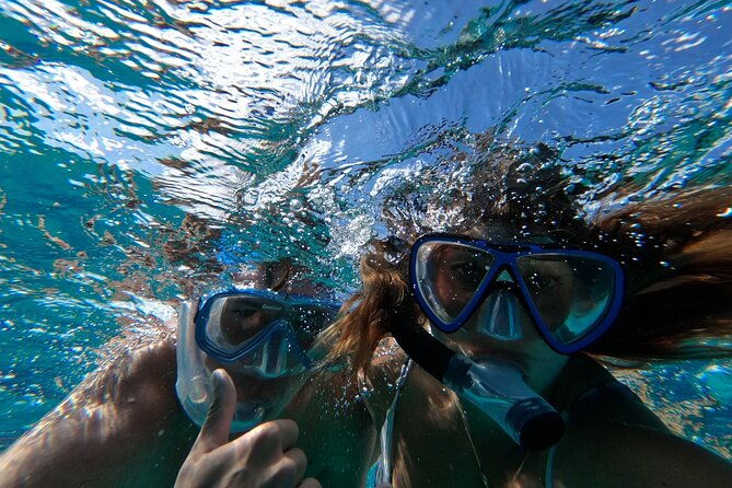 private-grouptour-pigs-turtles-snorkeling-lunch-pickup-dropoff