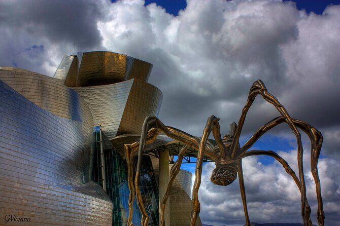 Private Guggenheim Museum Bilbao Tour with Official Guide - Inside the Collection: Art and Installations