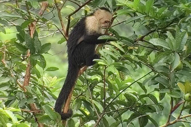 private-guide-hanging-bridges-fortuna-waterfall-arenal-volcano-2