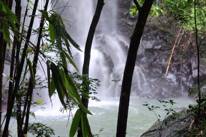 Private Guided Adventure in Nadi with Pick-up - Exploring the Details of the Tour