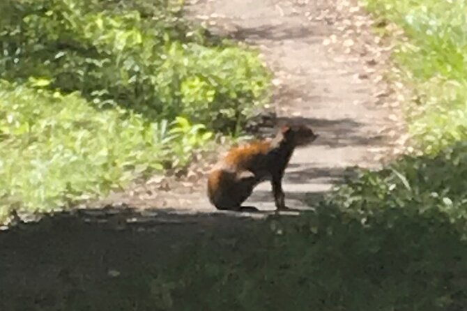 private-guided-atv-experience-in-honduras-with-snacks