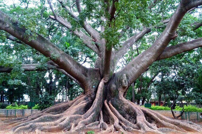 Private Guided Bangalore Experience - FAQ