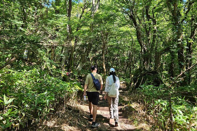 Private Guided Car Tour in Jeju Island - Final Thoughts