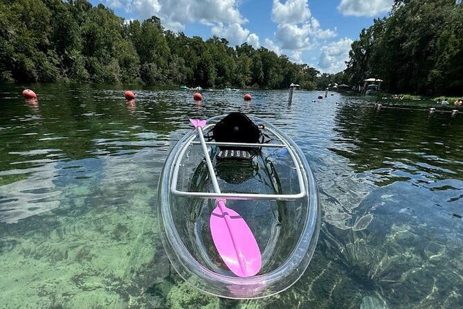 private-guided-clear-kayak-paddleboard-rentals-on-rainbow-river