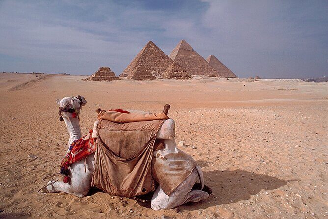 Private Guided Day Tour of Giza Pyramids Memphis and Sakkara - Who Will Love This Tour?
