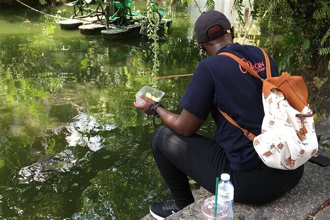 Private Guided Day Tour of the Ancient Ayutthaya - Final Thoughts on Value and Suitability