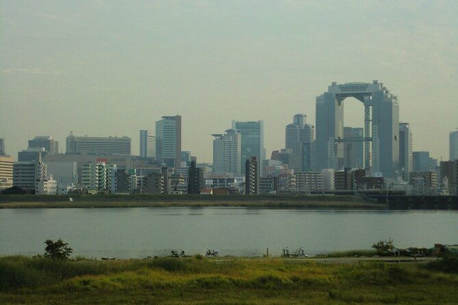 private-guided-day-tour-of-the-modern-city-of-osaka
