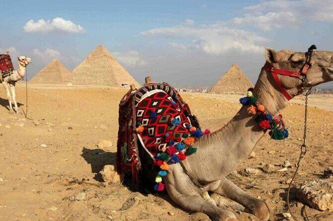 private guided day tour to Cairo from hurghada by private coach - Understanding the Cost and Whats Included