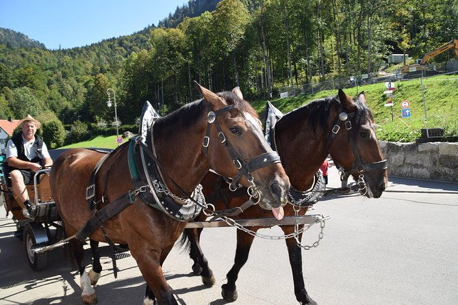 private-guided-day-trip-to-castle-neuschwanstein-incl-carriage-horse-ride