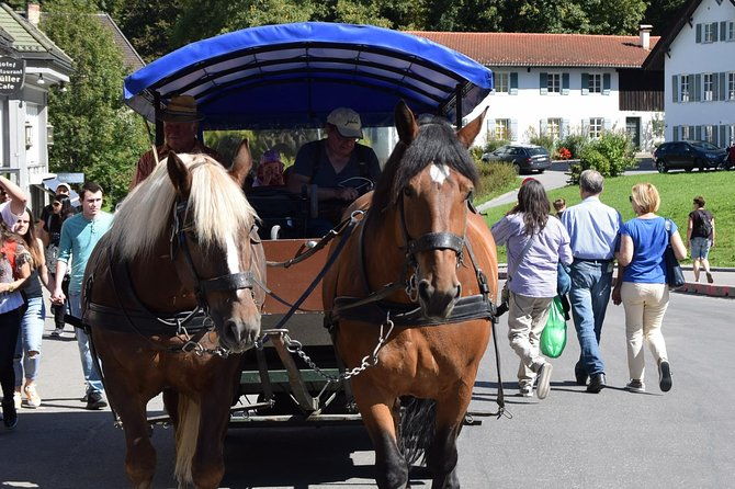 private-guided-day-trip-to-castle-neuschwanstein-incl-carriage-horse-ride