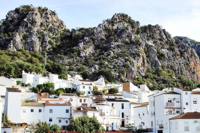 private-guided-day-trip-to-the-white-villages-and-ronda-from-seville