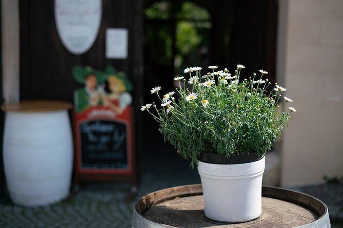 private-guided-full-day-tour-to-charming-burgenland-region-with-wine-tasting