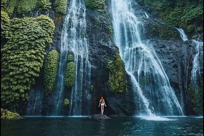 Private Guided Full-Day Tour to North Bali - Introduction