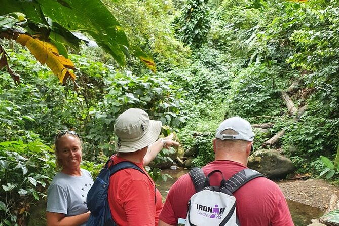 private-guided-grenada-island-tour-by-the-hour